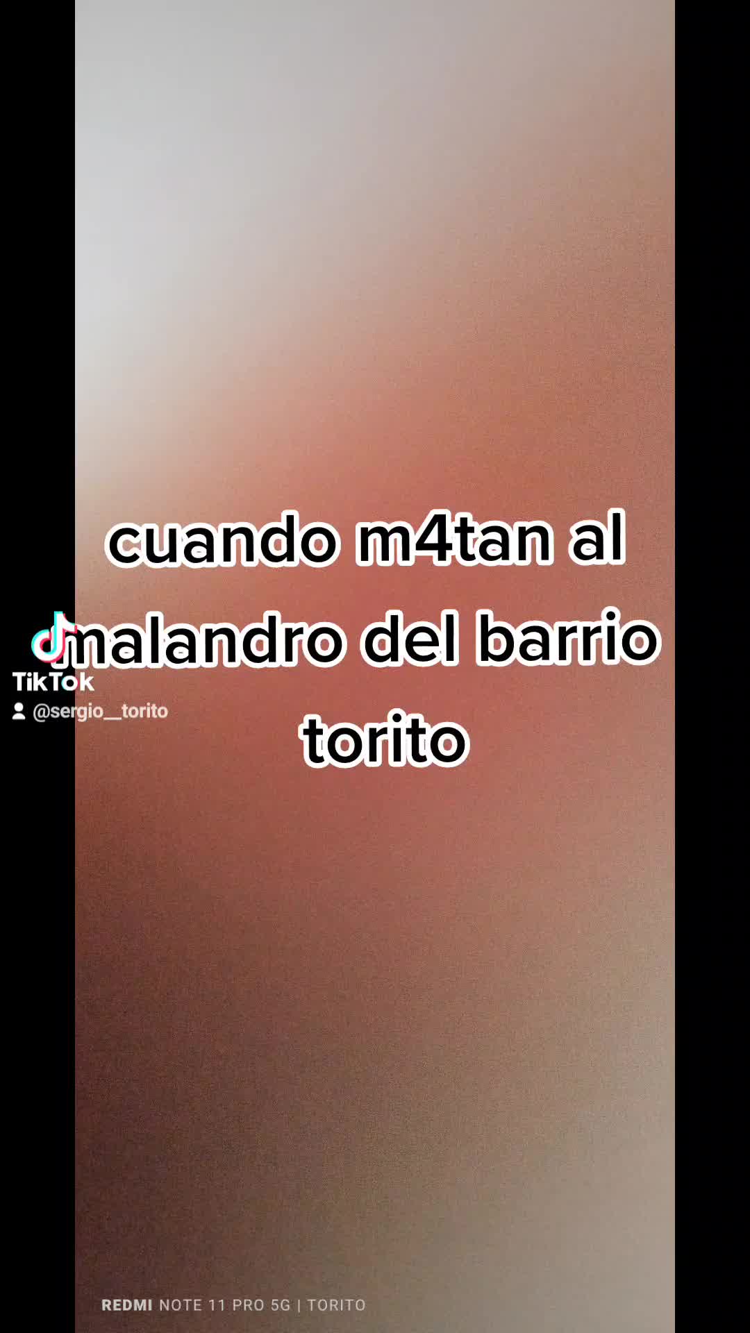 @torito