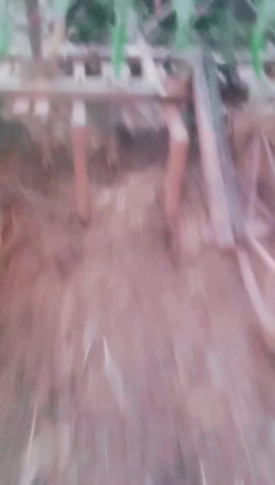 @Zidhi Banna Zidhi Ba