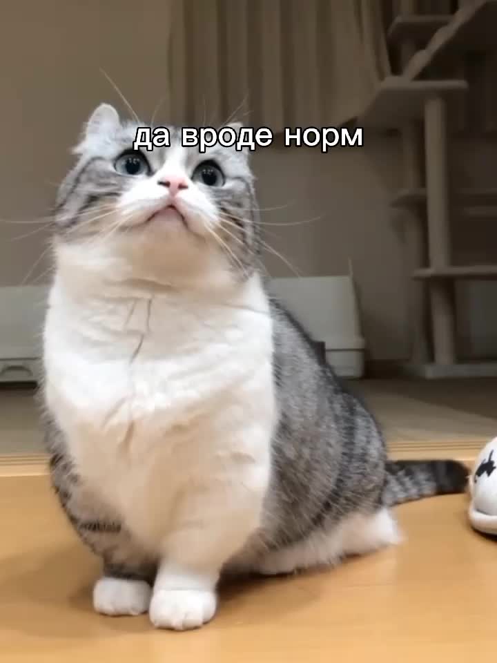 @komaruys