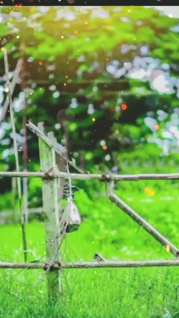 @Anirudh karthi