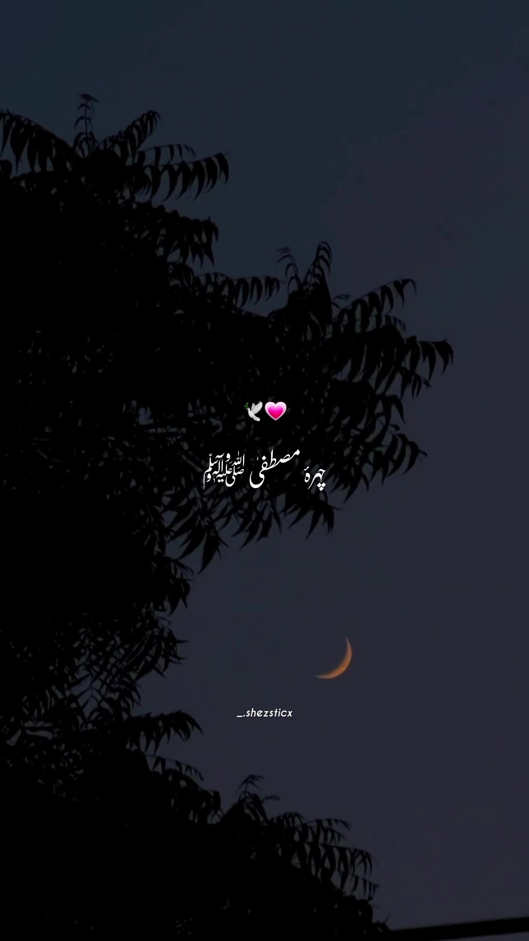 @🦋🖤