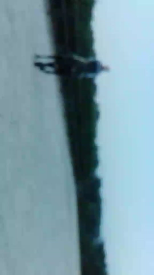 @Ginevra Lucatelli