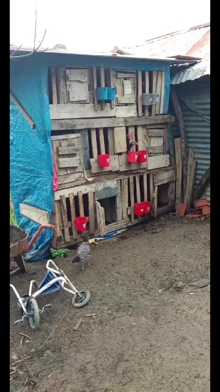 @ORDULU MÜSLÜM