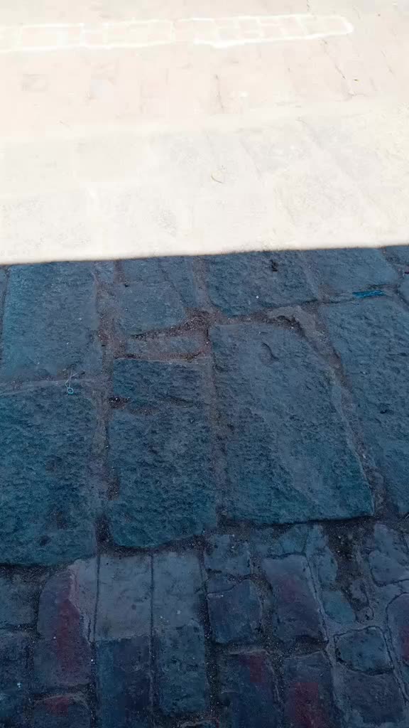 @shavalli