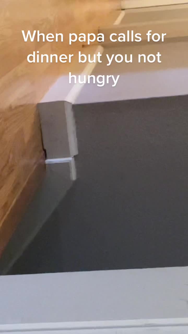 @zessteboi