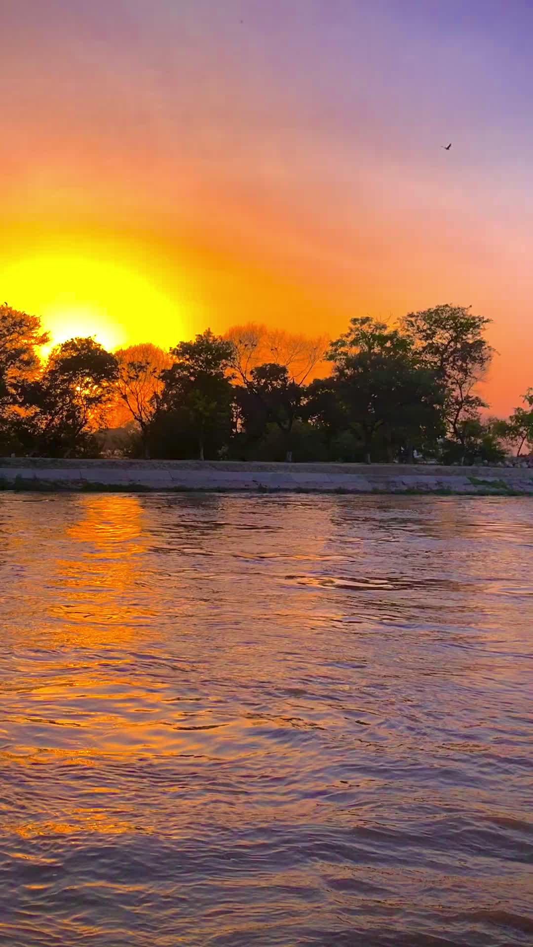 @پنجاب☘️🎋🌿