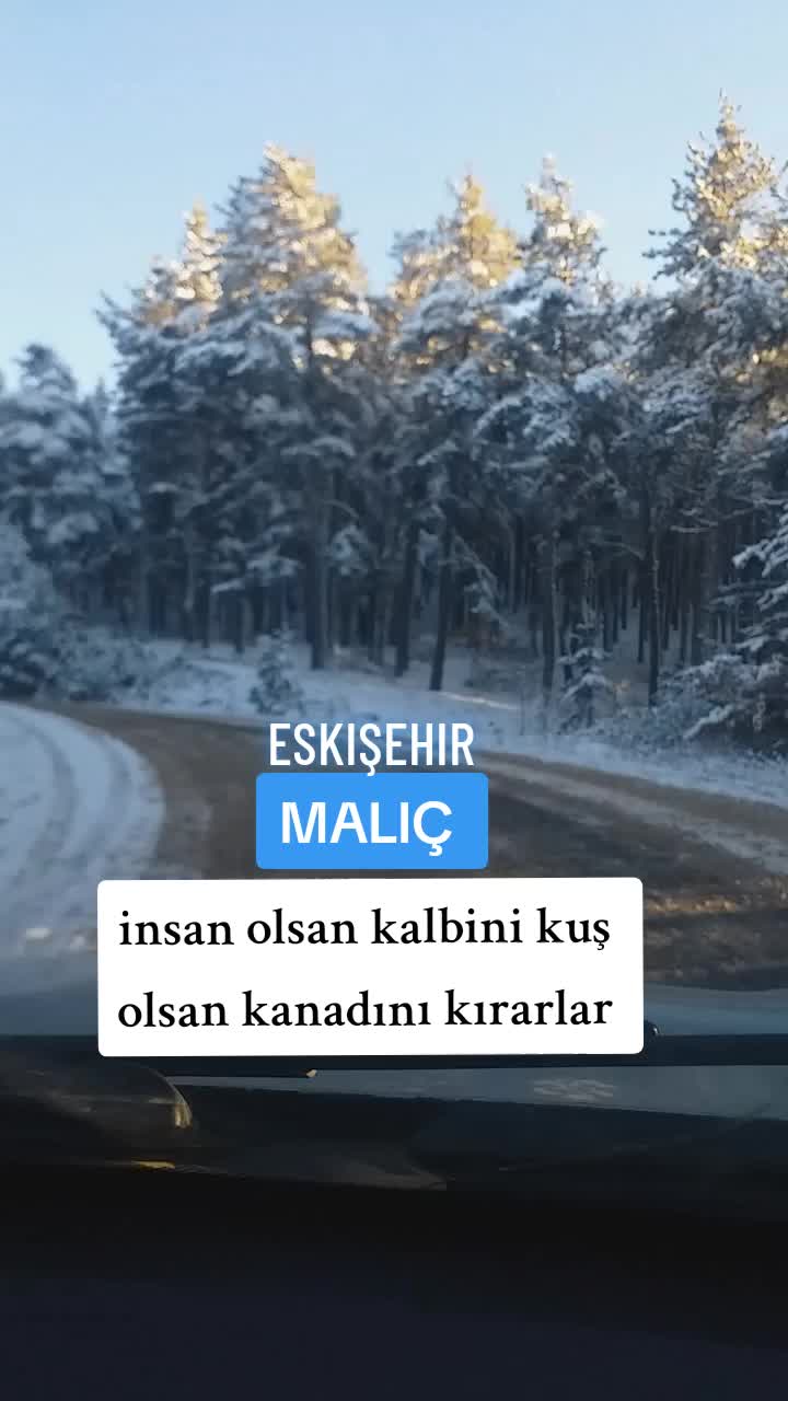 @kimbilir2610