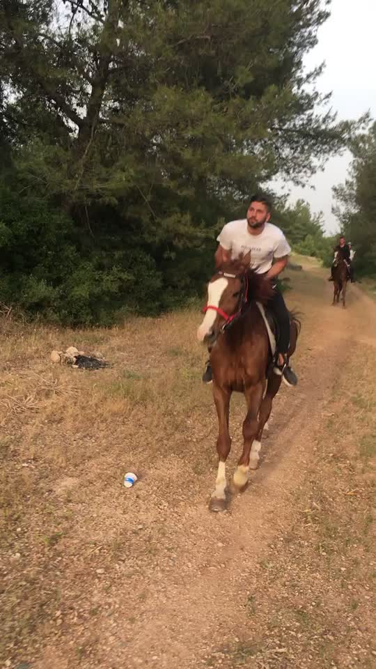 @Asil gülbahar