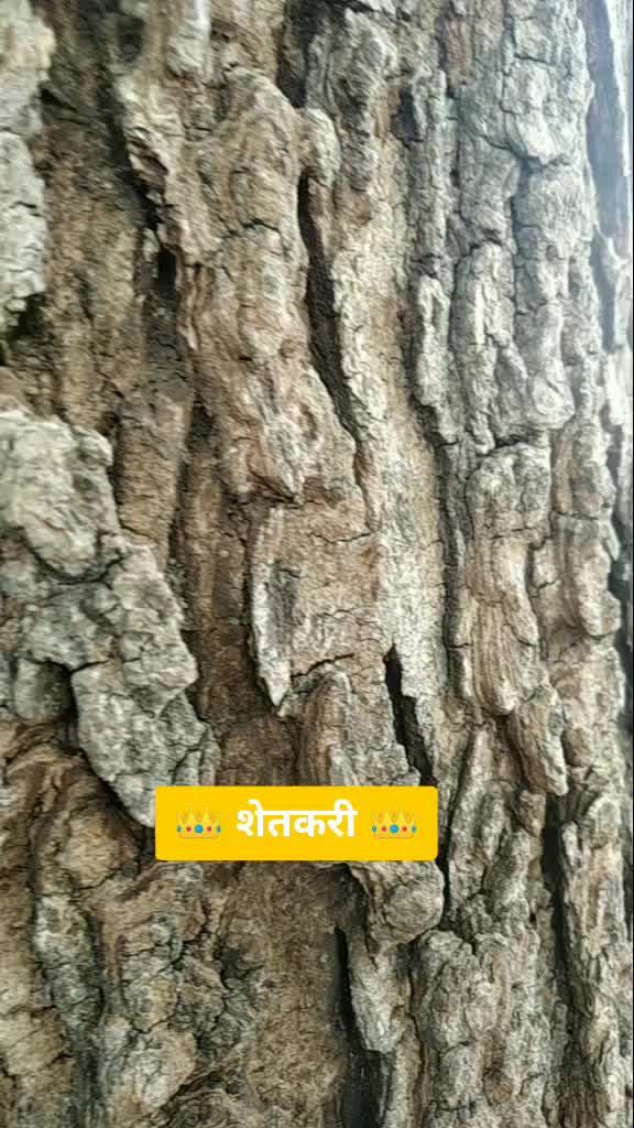 @gadade_sajjan