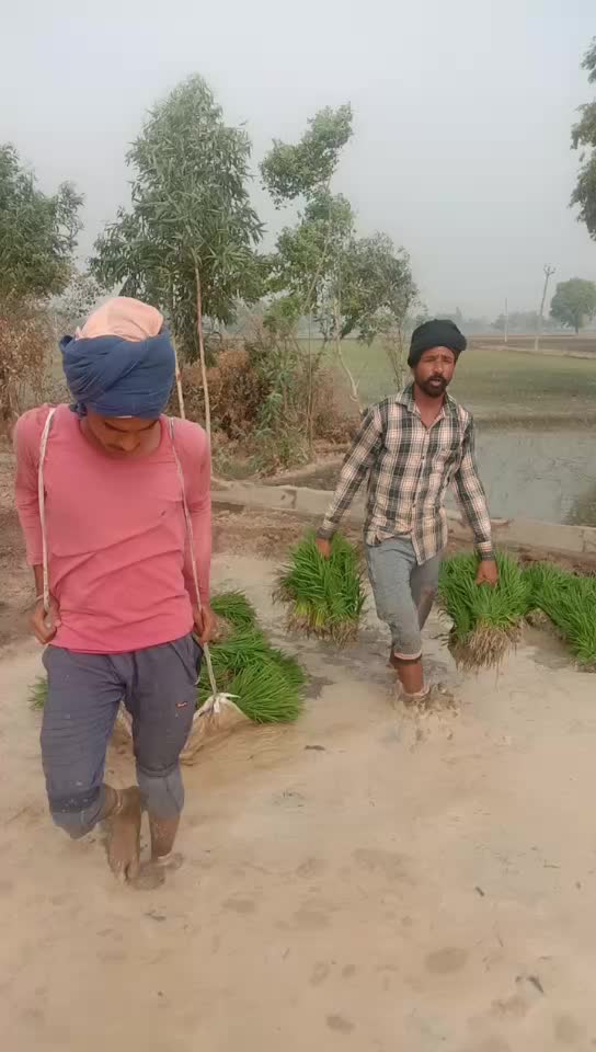 @Sumandeep Singh