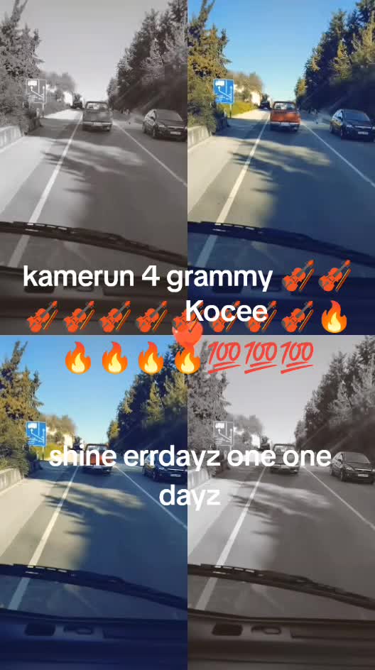 @Yankezillion