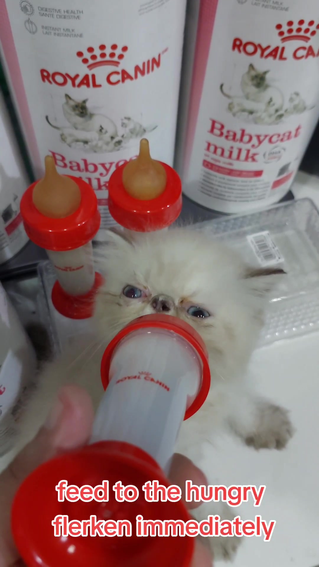 @Maracats Pet Supplies