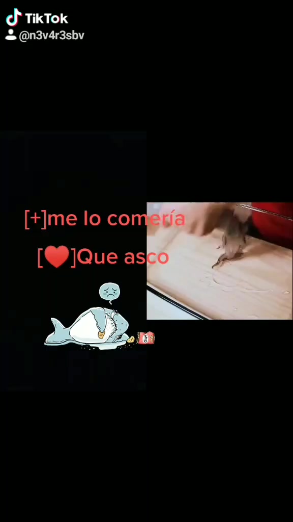 @N3V4R3S Bv