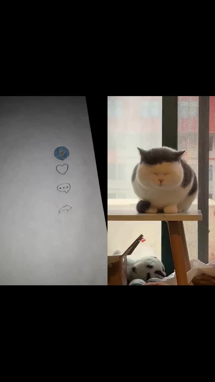 @MAX544Y54