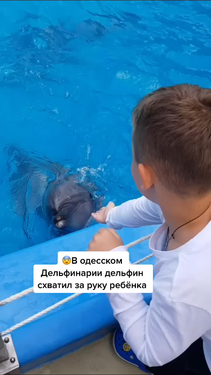 @odessa_hello2