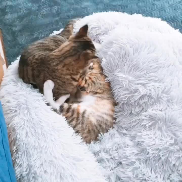 @민길이