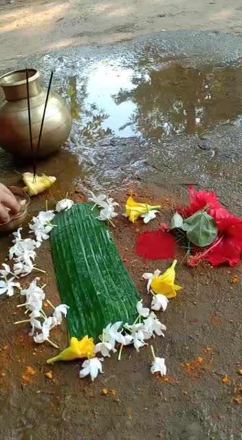 @Madhusmita Chanda