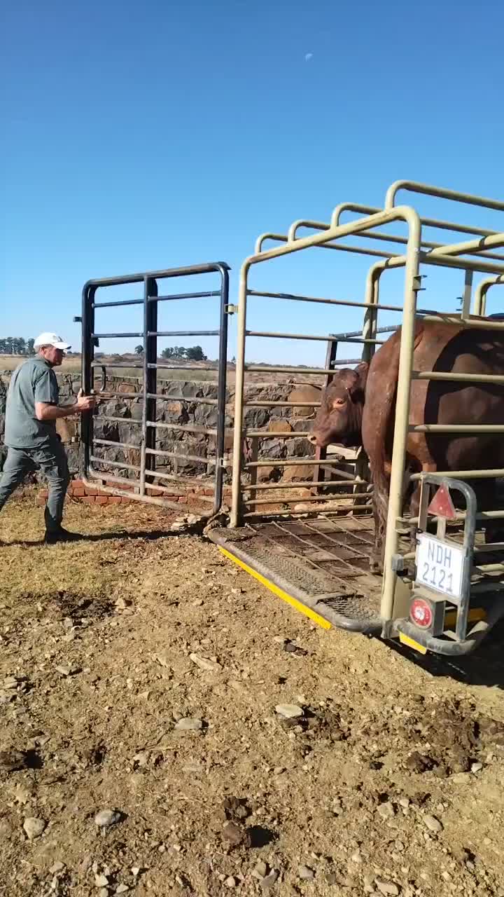 @FarmingKZN🇿🇦