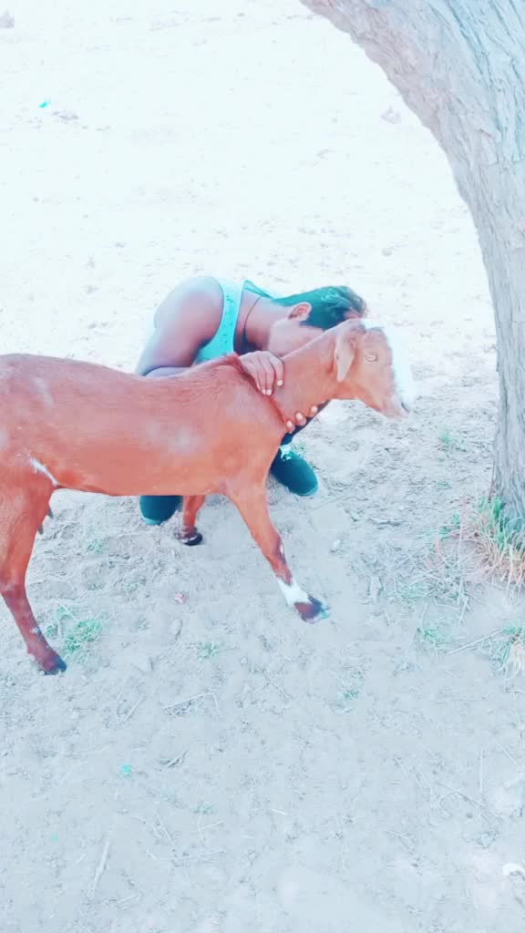 @Ganesh chouhan