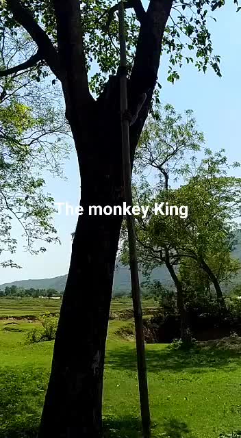 @SANJAYA ROUT