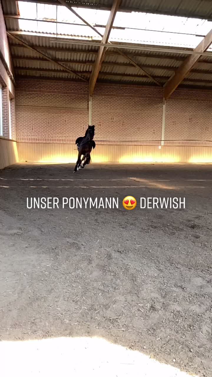 @anna.husung