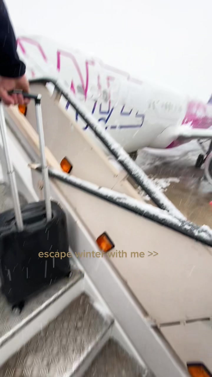 @gabxss8
