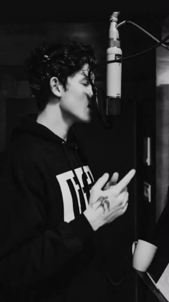 @Shawn Mendes 2020