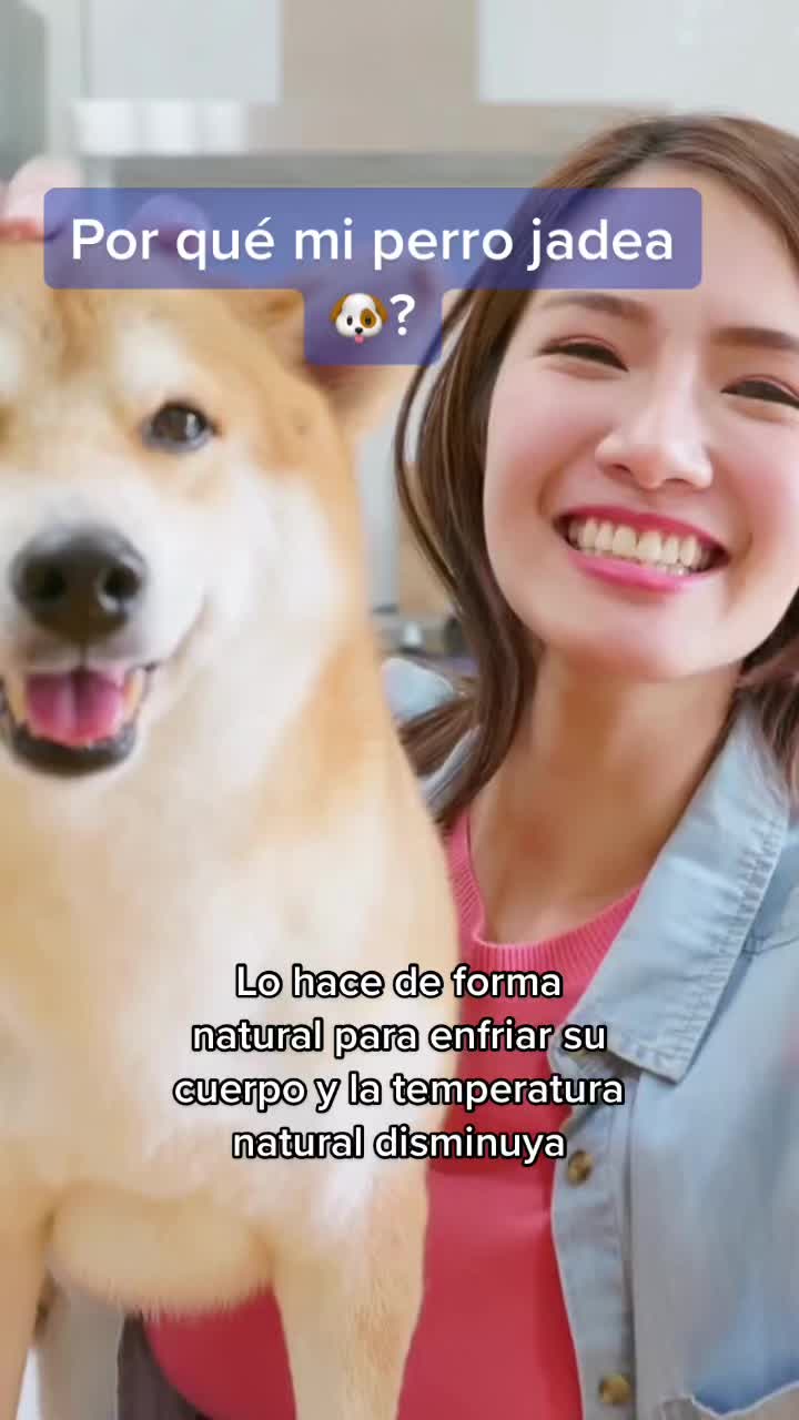 @mascotasfelices