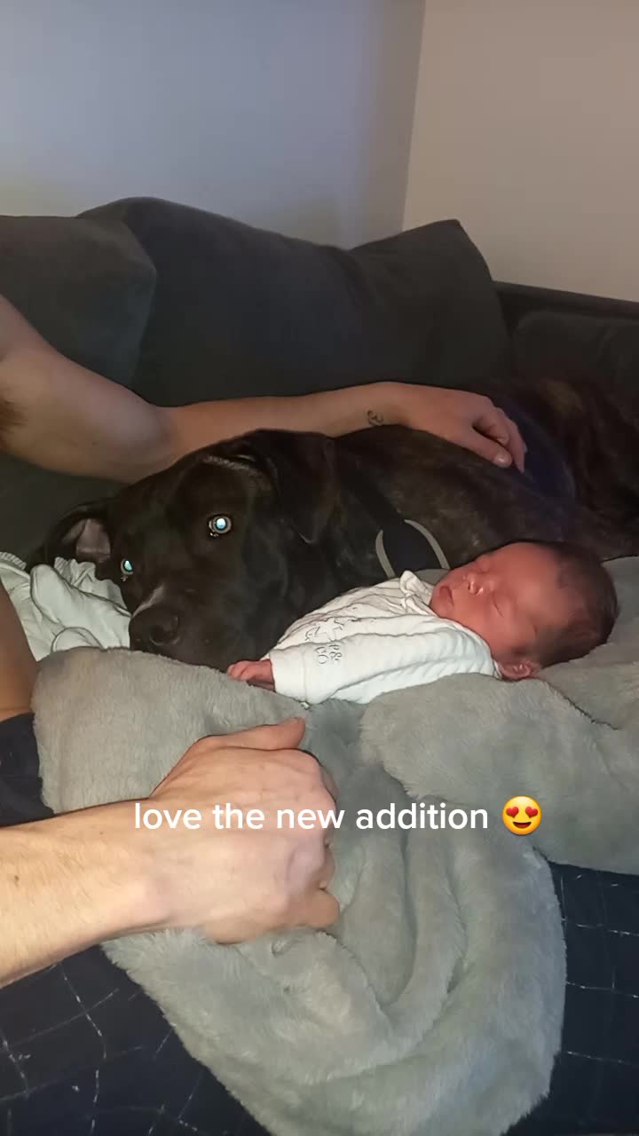 @Baby Duke