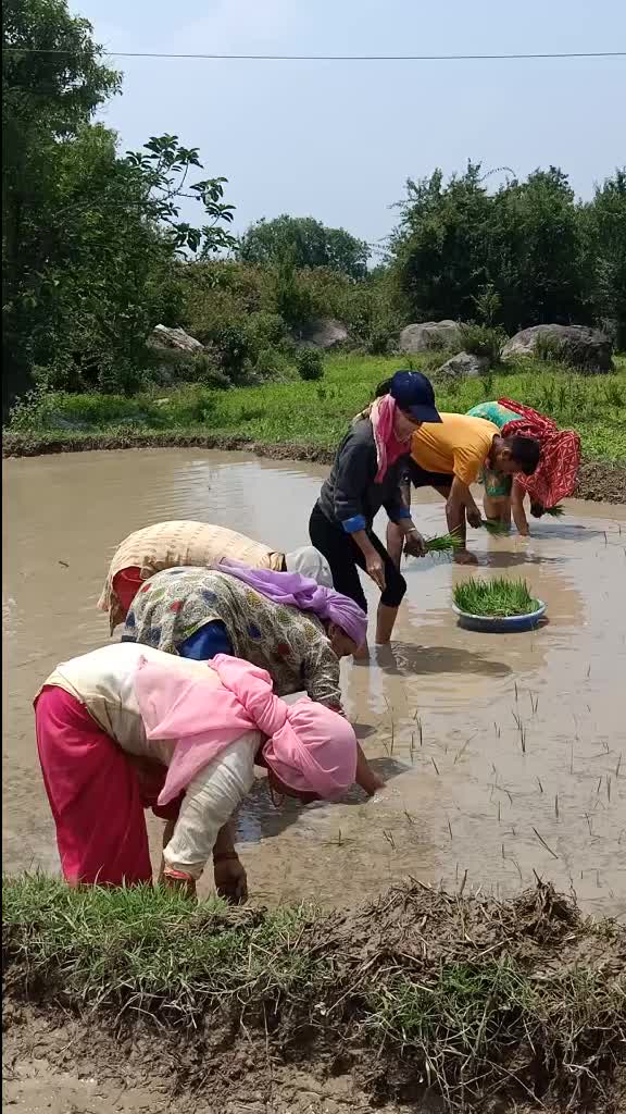 @A Kãy Lãlhãl