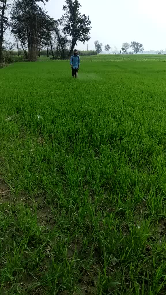@Er. abhay