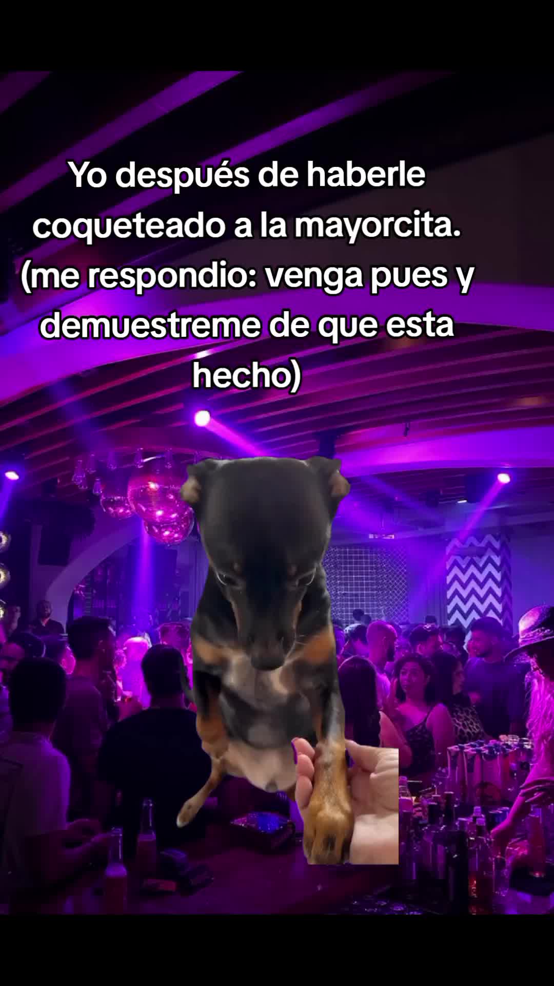 @Farid