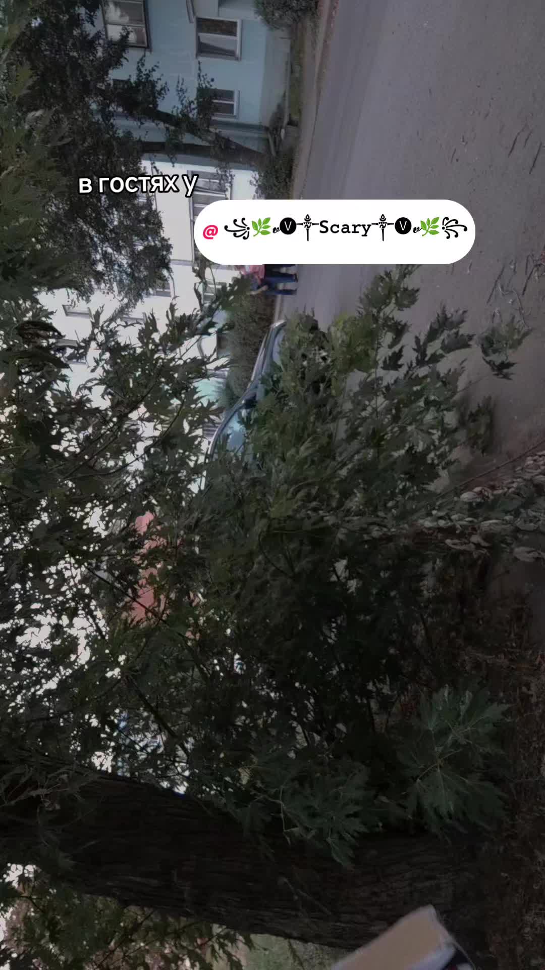 @Дракоша👍 Кириешка,❤️🐲