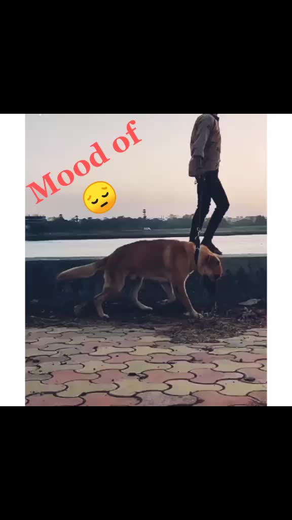 @@______prasad______p