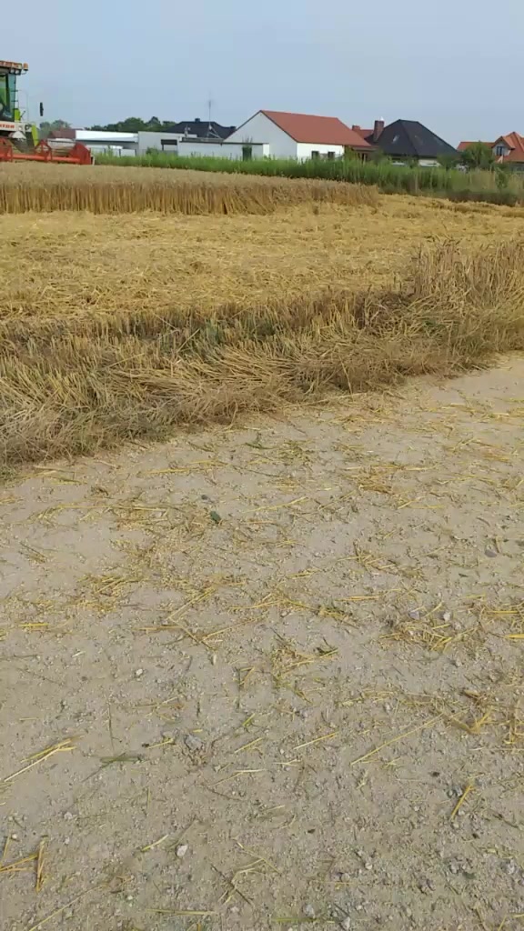 @maszyny🚜🐓🐔