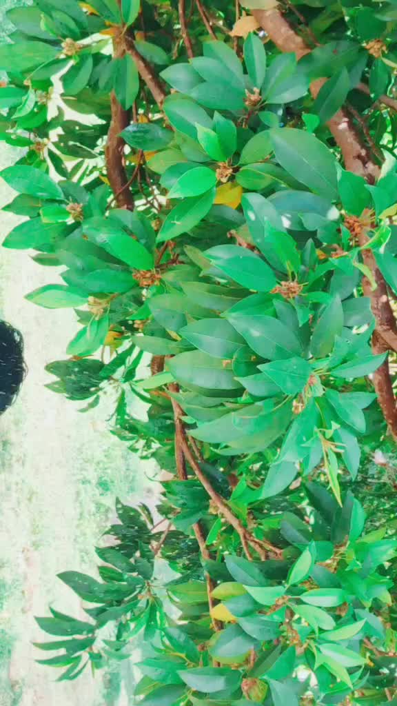 @&hearts;️ Mangesh &hearts;️