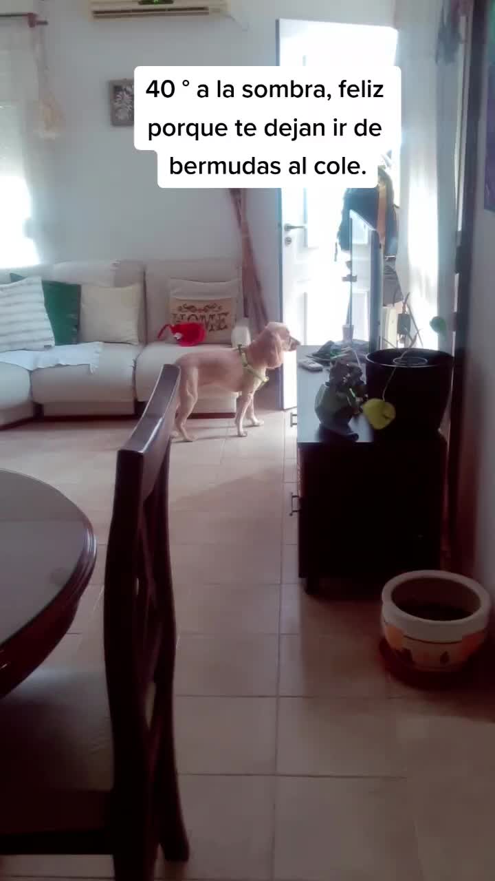 @Mauro Payer
