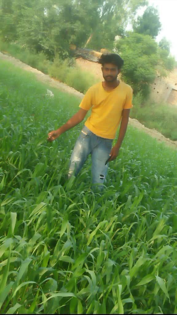 @Daljit chiti
