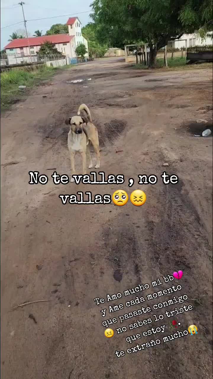 @Marisabel🐍