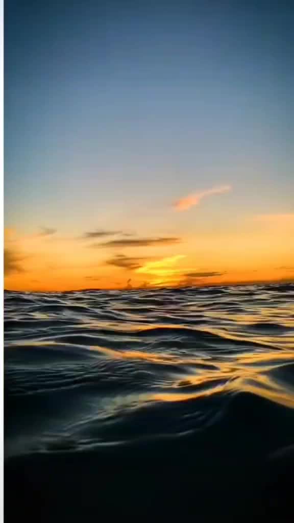 @shabana1776