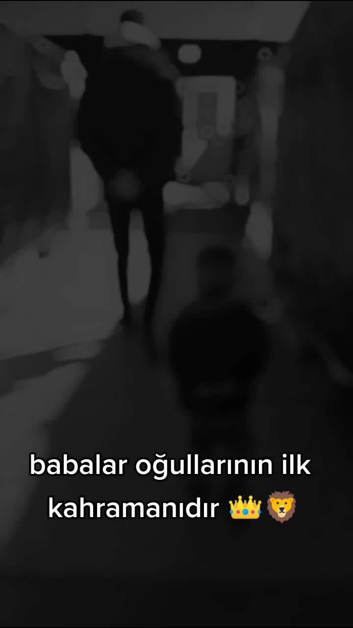 @elanurdamri