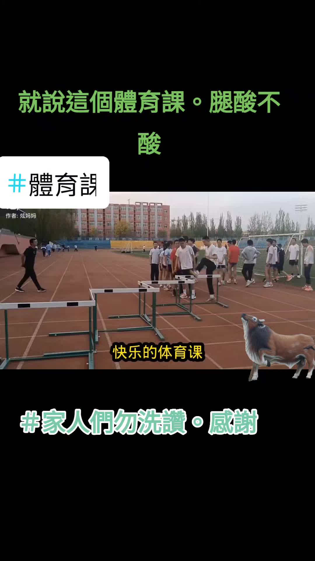 @龍寶兒在台灣