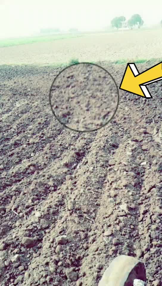 @MANREET.KOONER