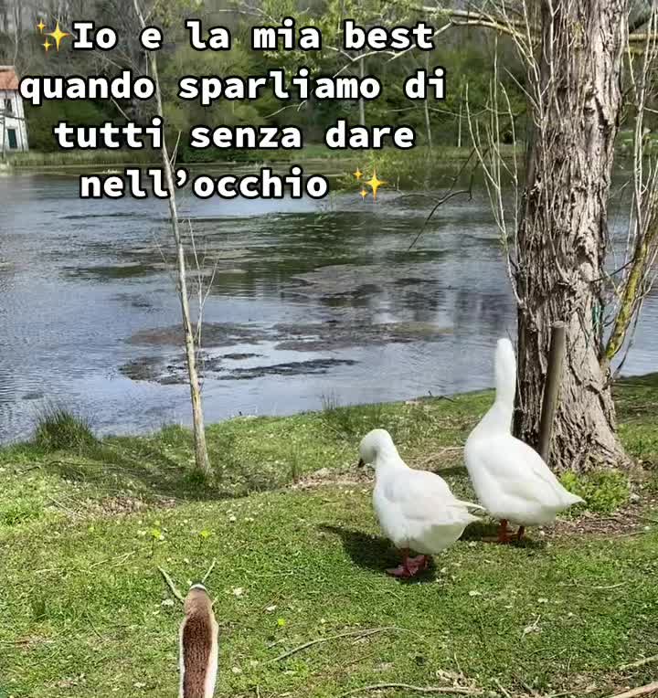@🌪