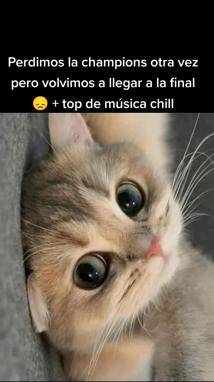 @moonztyle