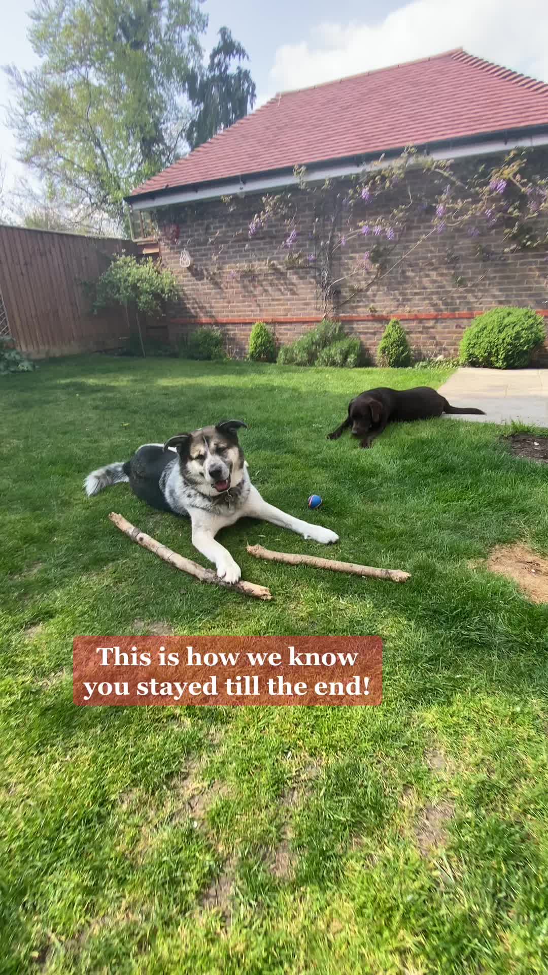 @🐾 𝑻𝒆𝒅𝒅𝒚🐾