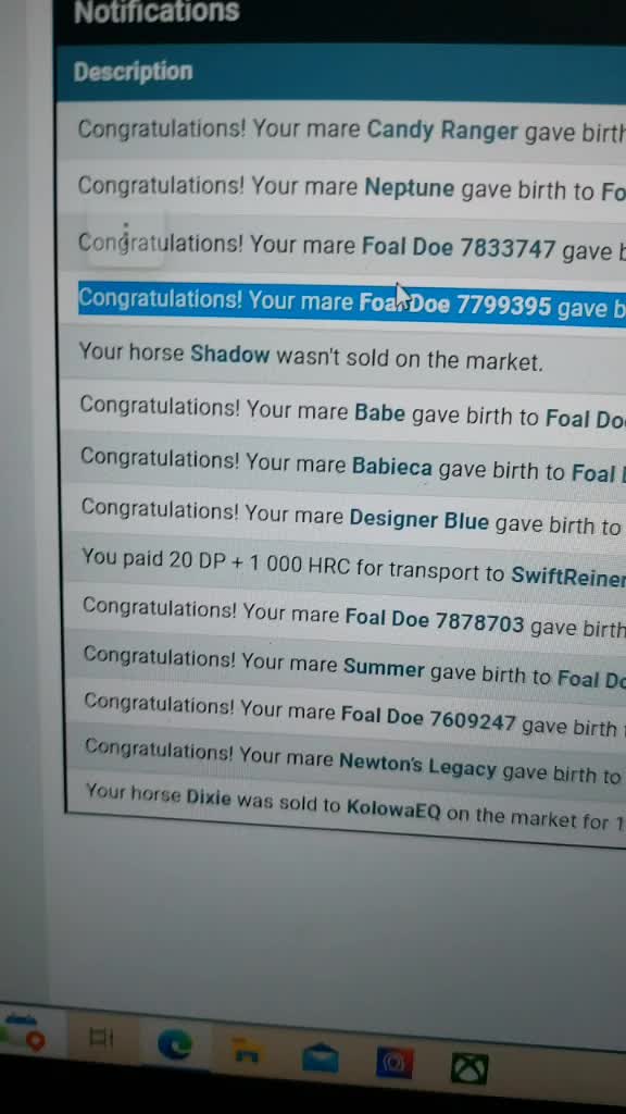 @horse reality