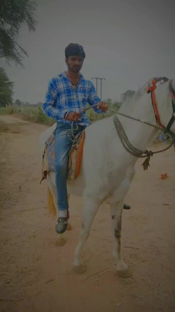 @pradipdan gadhavi