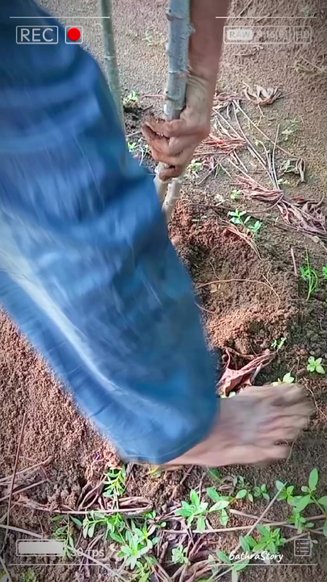 @masandri269