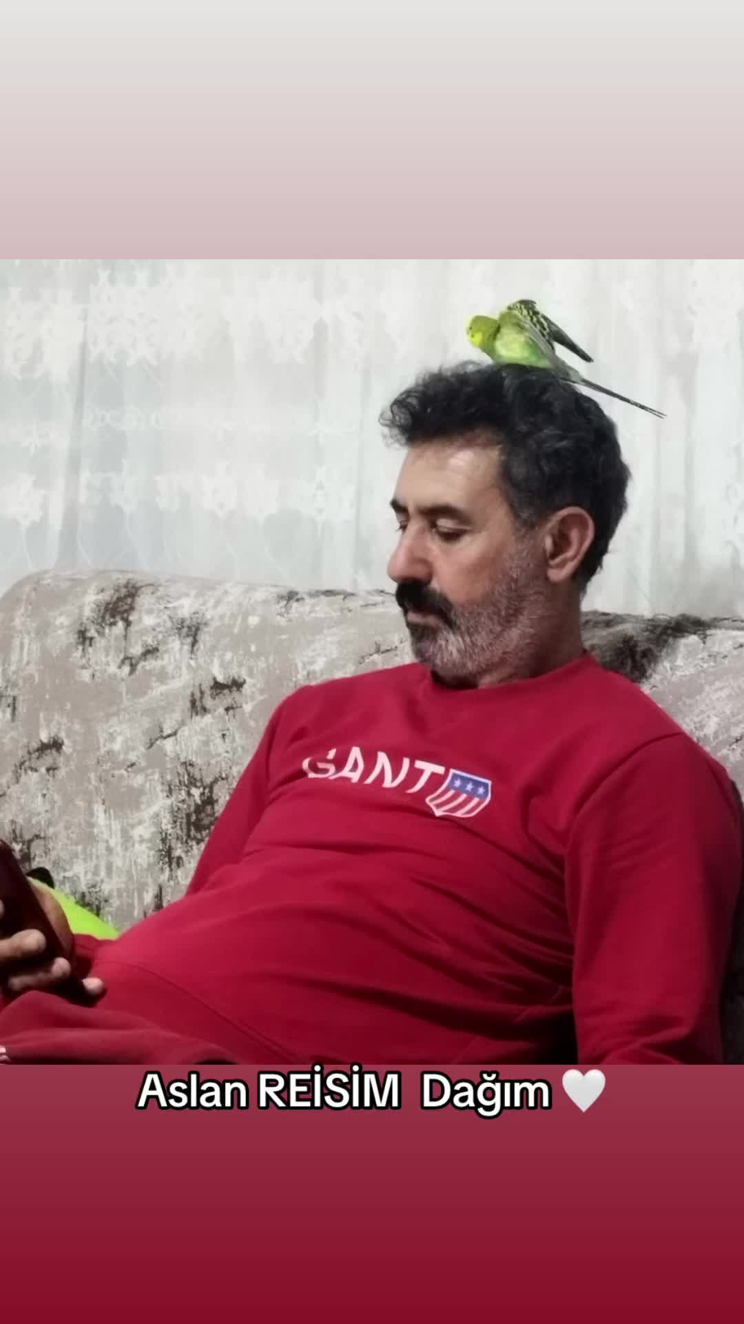 @Yener_kızılkan